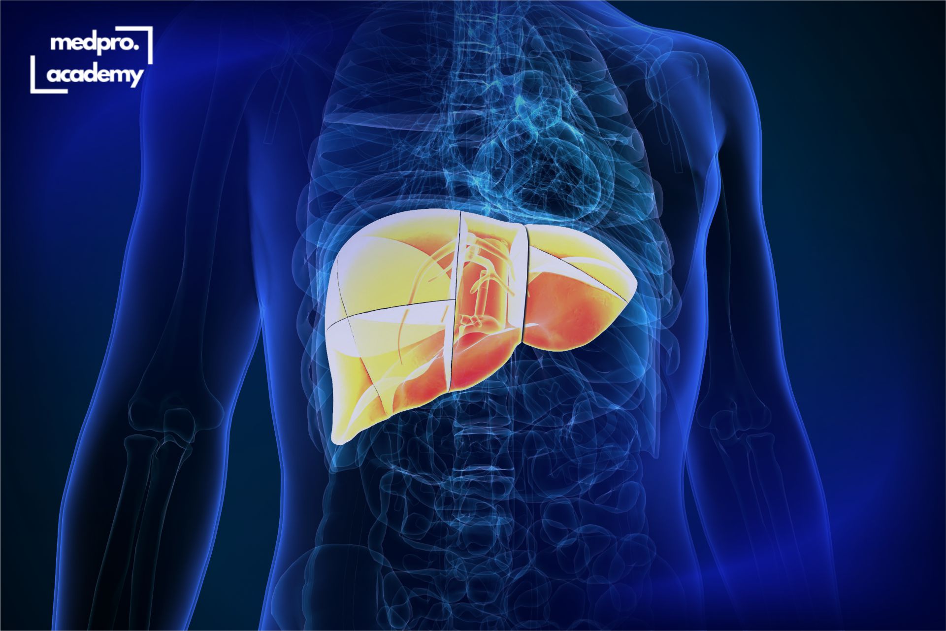 2Цироз печінки сучасна діагностика, ускладнення та тактика ведення